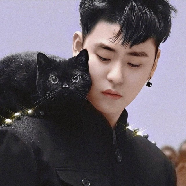 张云雷头像评论投稿