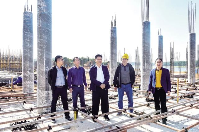 何培烈率工作专班深入雷阳湖片区督导工程进度