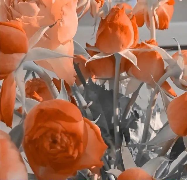 水瓶座追求指南 完整攻略来了 速速拿下他的心 腾讯新闻