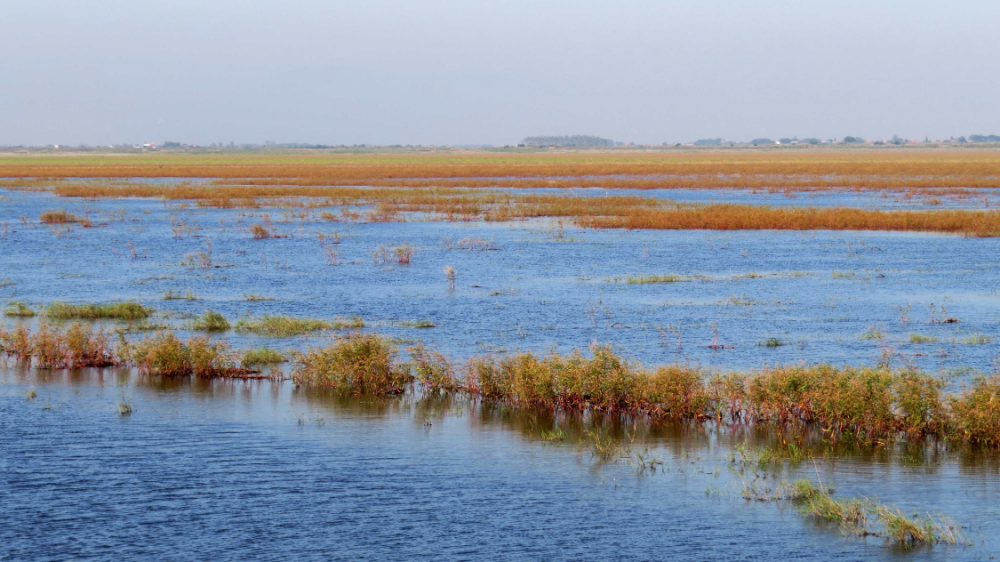 长江边最美湖泊,风景秀丽面积可大可小,刚迎来35万只水鸟栖息