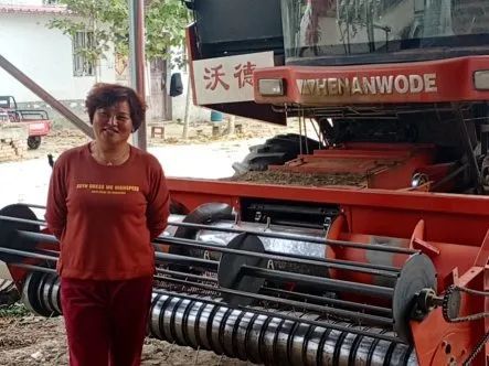 芳月萍 买了沃德花生收获机当年净收益18万 比打工强太多了 腾讯新闻
