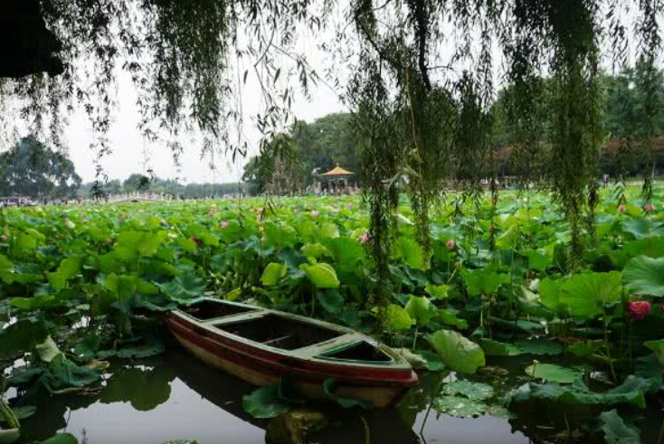 昆明新一线城市2020_昆明想要成为新一线城市,要和这个地级市实现一体
