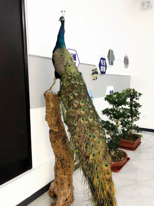 一款有灵性的浮漂 腾讯网