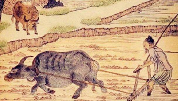 俗话 有福之人两腿毛 无福之人毛两腿 啥逻辑 老祖宗太会看了 腾讯新闻