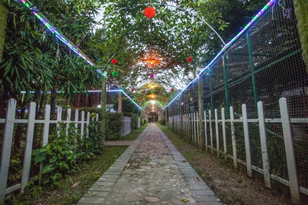 福建省最美休闲乡村福州福清市牛宅村