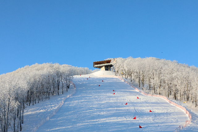 眼下,万科松花湖度假区2020新雪季已经开板迎客,41公里长的优质雪道
