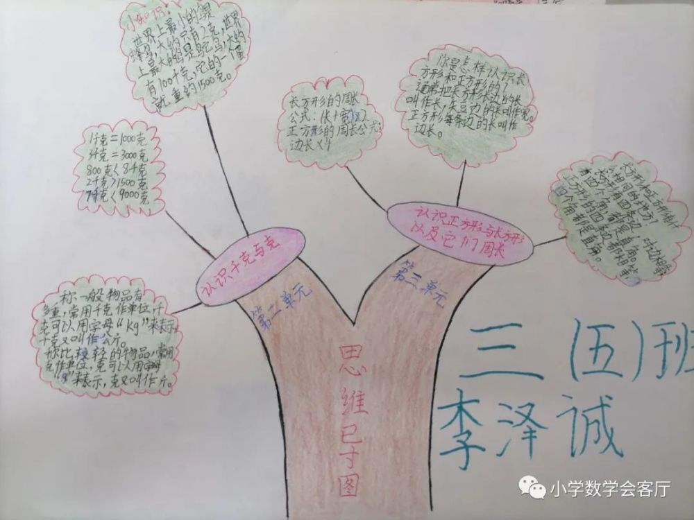 合肥市寧溪小學數學思維導圖比賽三年級作品欣賞二