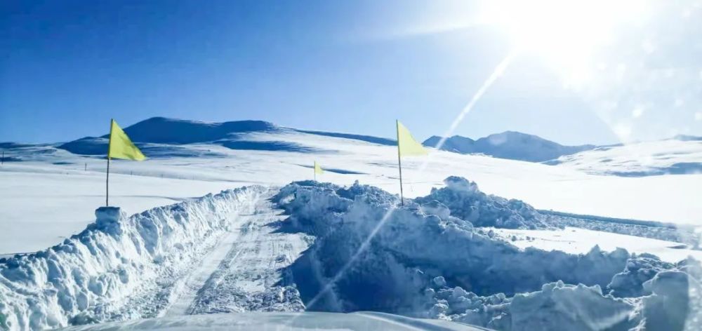 『打卡阿勒泰』野卡峡有多野,带你来一场刺激的野雪旅行