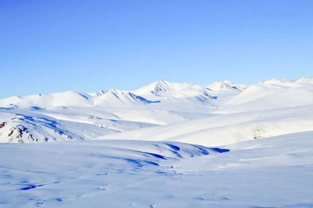 『打卡阿勒泰』野卡峡有多野,带你来一场刺激的野雪旅行