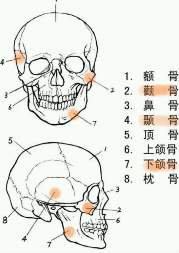 大家可以仔细想一下,你要修一个鼻子,拿着骷髅头看管用,还是找一个