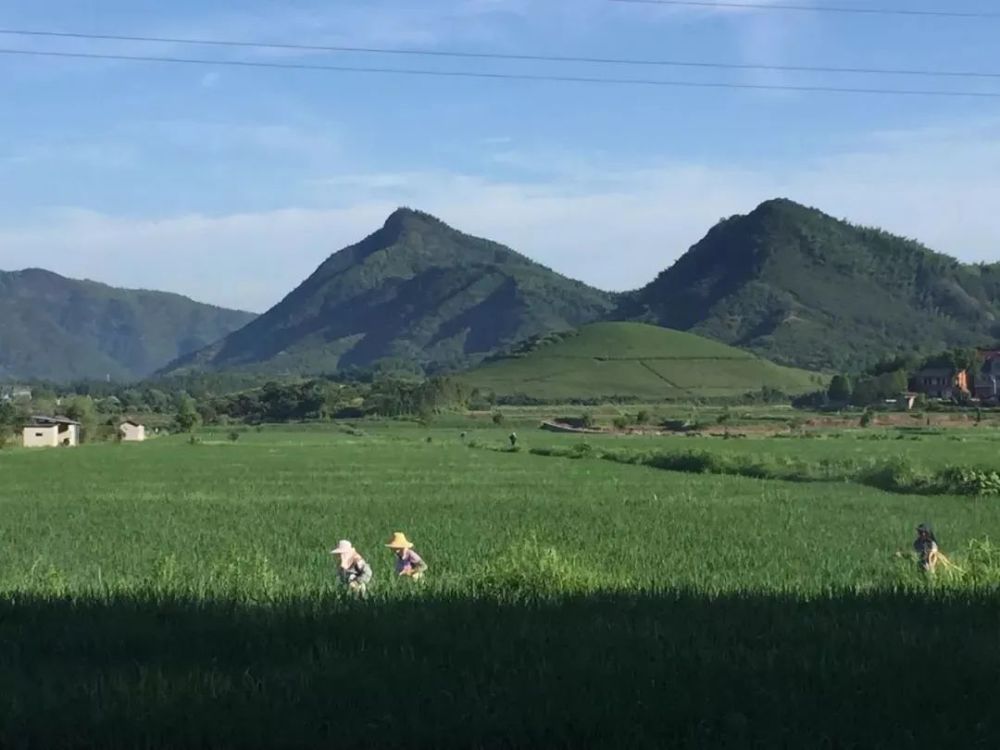 保安乡位于浙江省江山市南部,拥有仙霞关国家4a景区,石鼓国家公园