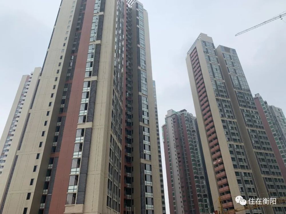 2020衡阳洗浴中心排名_衡阳一洗浴中心竟是卖淫窝点,现场抓获28名男男女女