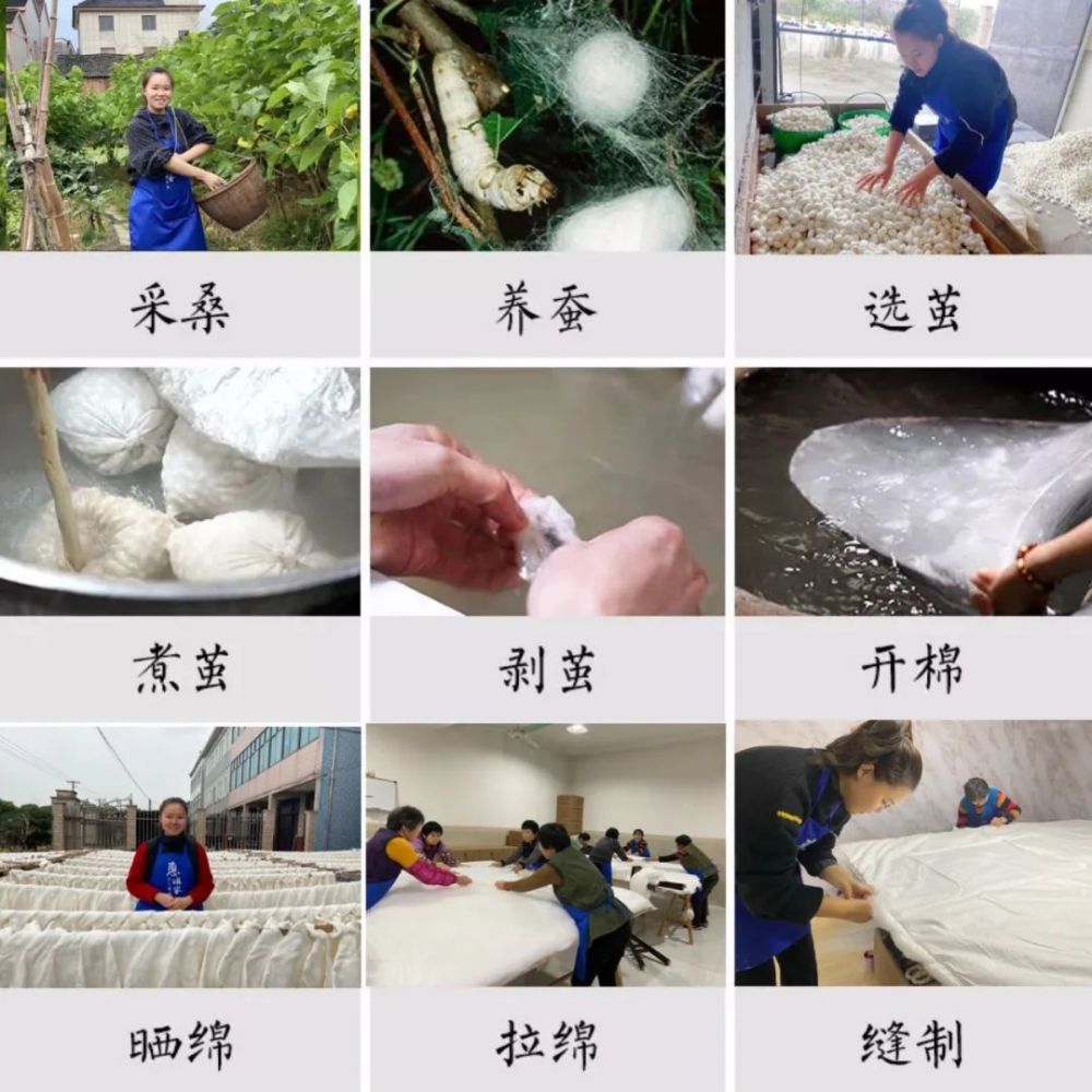 注意天价蚕丝被内幕被媒体曝光这个叫王惠的女人火了