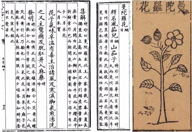 周密《辛杂识》说:"回回国有药名押不芦者,土人采之,每以少许磨酒饮入