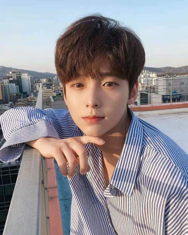 两边铲青的瓜子头失宠了今年流行小奶狗发型帅气又炸街