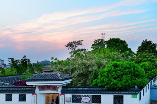 雲亭街道花山村姚家宜興市太華鎮乾元村乾元西渚鎮白塔村薛家橋錫山區