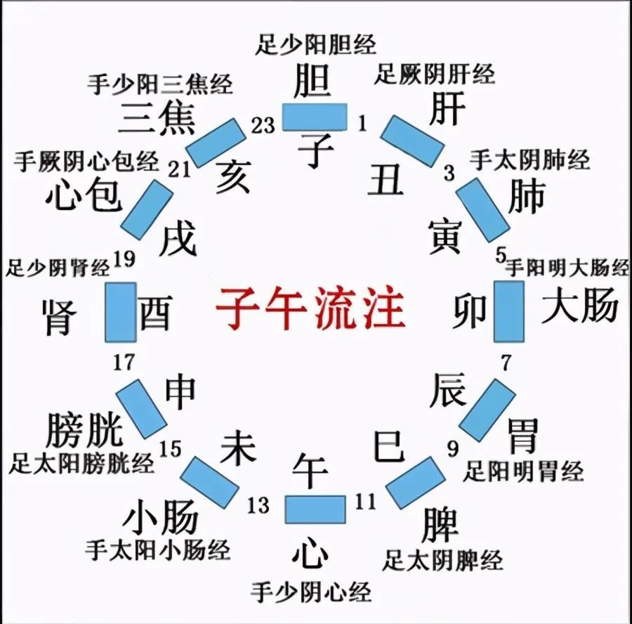 子午流注常用的按时取穴方法有4种还有8种很少有人知道