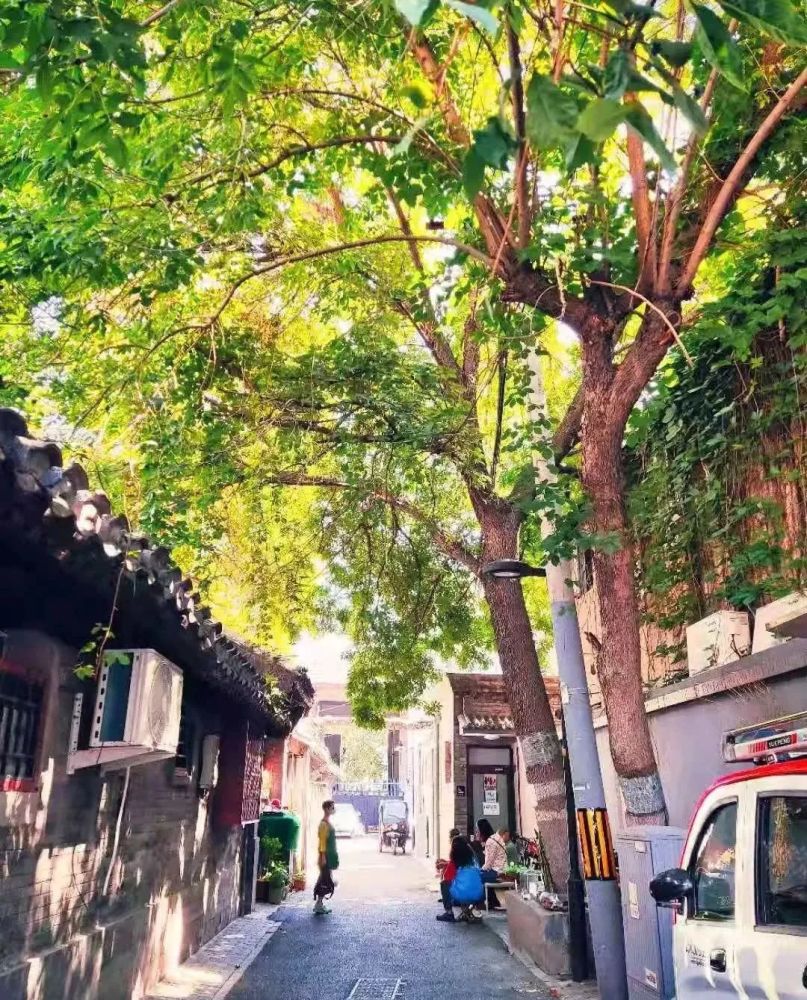 苏州胡同东城区前门街道 长巷头条东城区十大"北京最美街巷"获奖名单