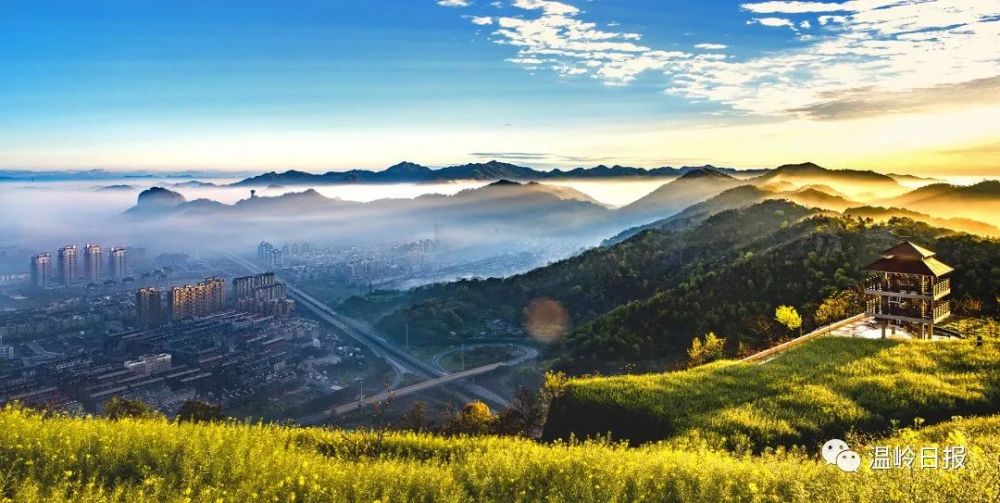 2020温岭初中排名_2020年温岭市中考录取分数线新鲜出炉!!公办普高最低控