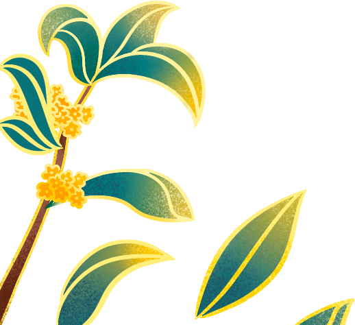 大美万宁 惊艳冬日的风景线 腾讯新闻