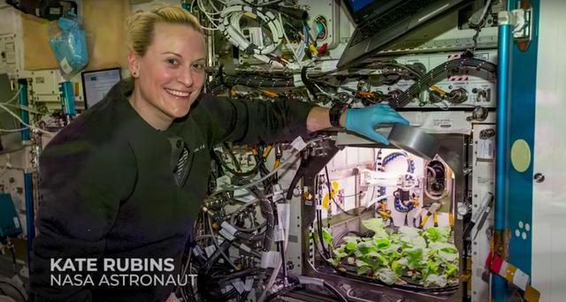 nasa培育出人类史上首批太空萝卜适合长期任务成熟周期只有27天