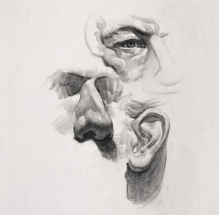 画好五官整个头像就亮了头像素描帮你提高10分