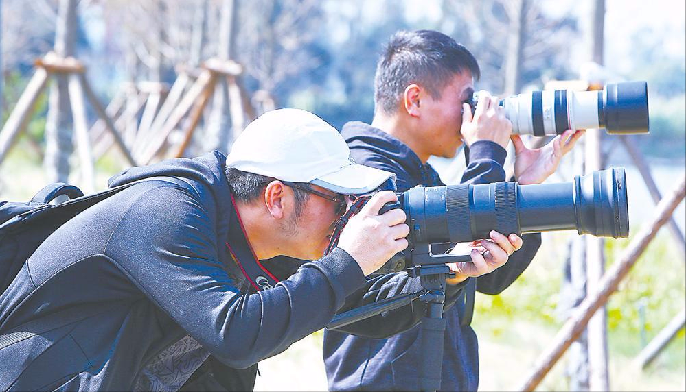 石室联合中学西区老师_石室联合中学_石室联合中学基地班是几班