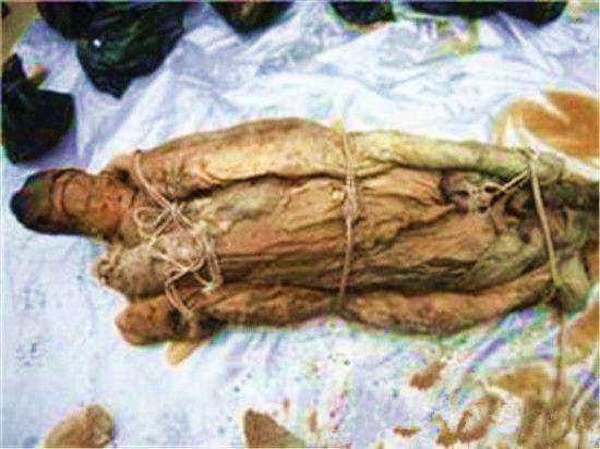 真是令人难忘更是令人惊喜的是,里面好像有一个头骨,有联想到关羽死亡