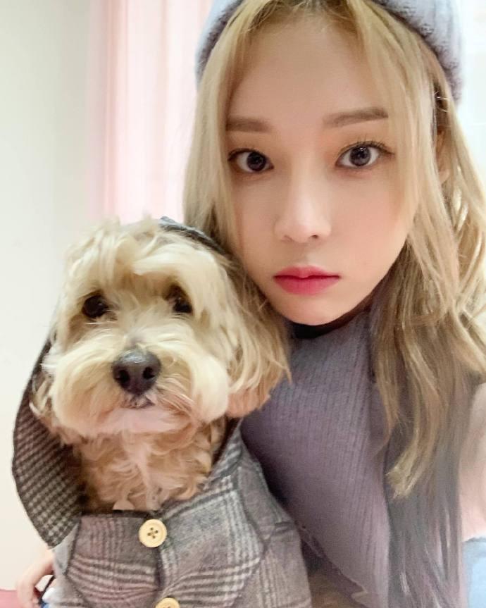 aespa晒抱狗照冬妹眼神无辜惹人疼柳智敏被嫌弃透露艺名由来