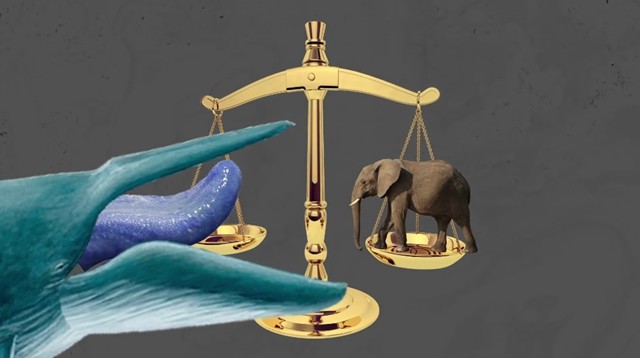 按道理来讲,如此之大体积的蓝鲸吞下一个渺小的人类,短时间内被吞下的