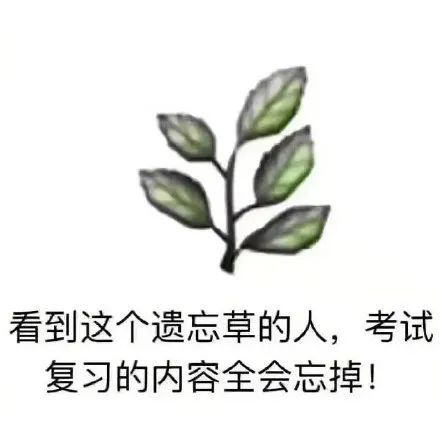 表情包沙雕日常看到这个以往草的人考试复习的内容会全忘掉