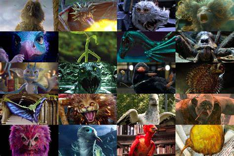 《哈利波特》:魔法部对魔法生物的四大分类,人和兽的界限最模糊