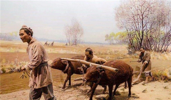 农夫报案:牛舌头被人偷了,包拯:把牛宰了,小偷自然会来自首