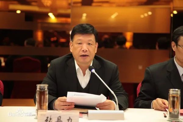 陕西煤业化工集团有限责任公司原副总经理张丹力接受审查调查