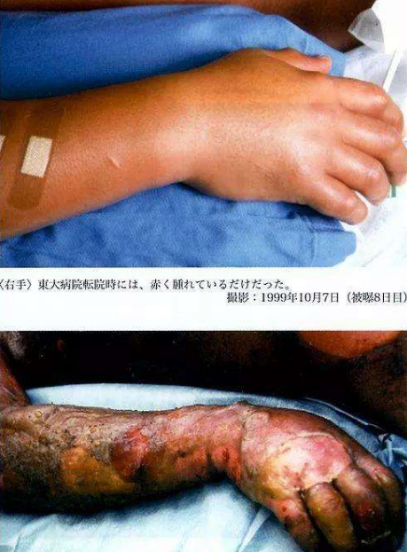 一天,核电站的工作人员大内久,因为和同事一起往沉淀槽里加入过量的