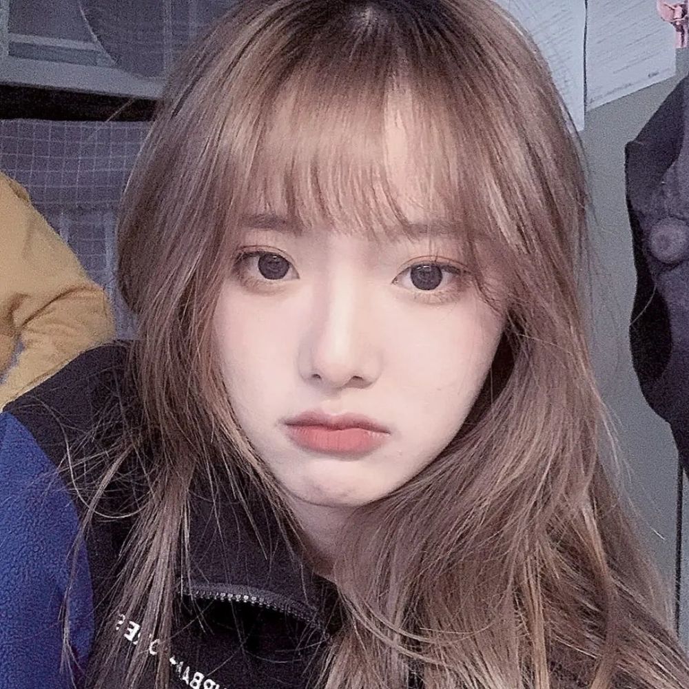 第500期|优质头像:1208温柔可爱ins心动女生头像