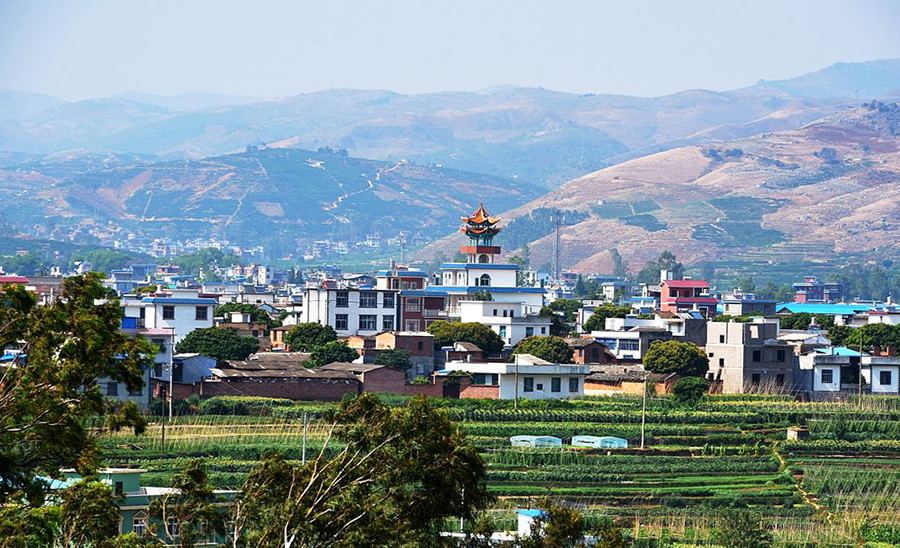 云南省玉溪市华宁县辖镇-出走网