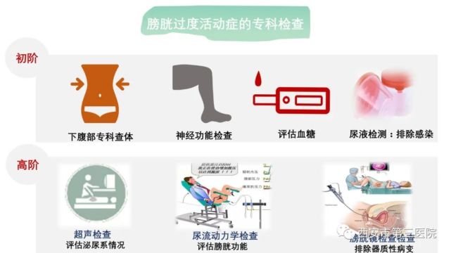 膀胱过度活动症为什么你总是有上不完的厕所