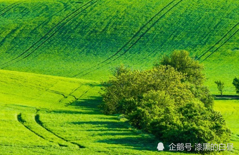 12月中旬開始財富如雨下出門遇貴人好事不斷的生肖