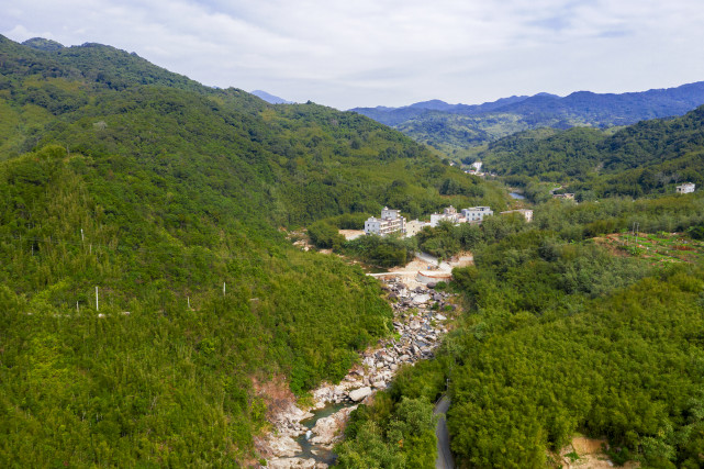 其中有个新圩镇,是阳西县的八镇之一,盛产水果和中药材.