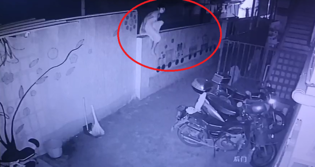 监控拍下"白衣女子"!行为如此诡异!真相竟是