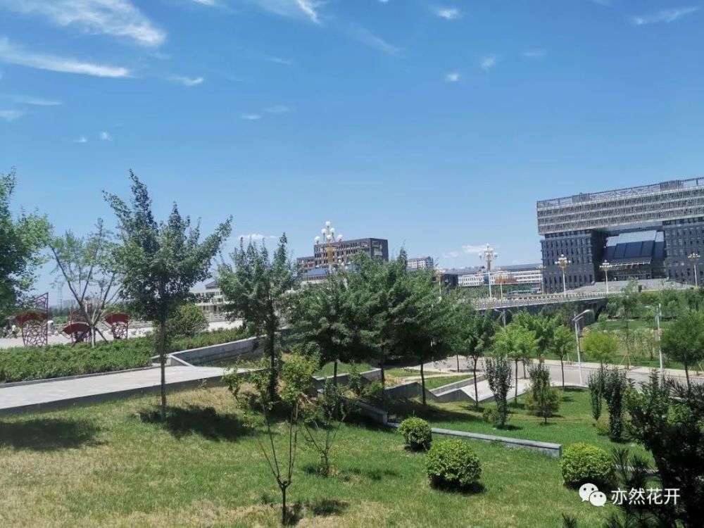 花生|学会科学归纳，从个别事物中找到一般规律