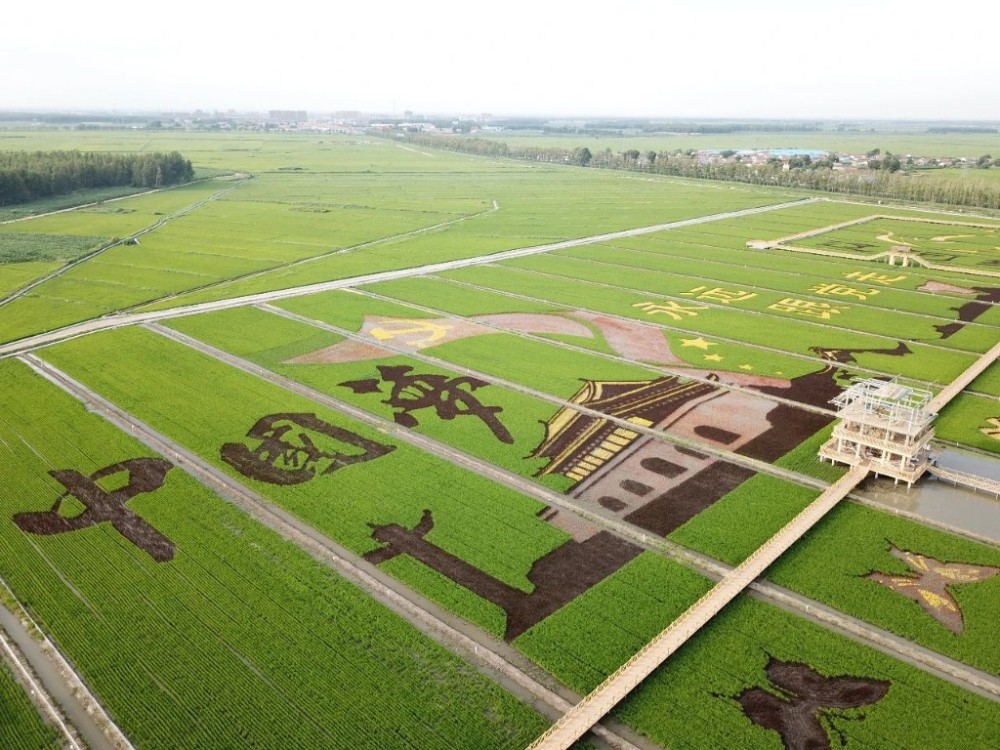 梨树县坚持规划引领打造国家级绿色稻米现代农业旅游观光展区