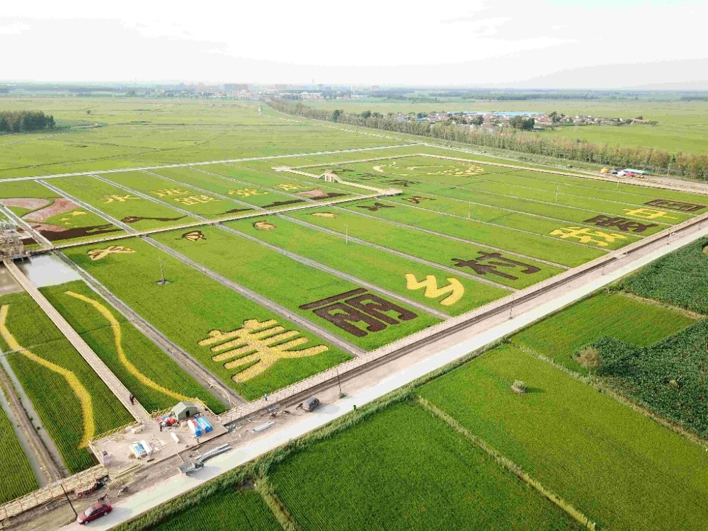 梨树县坚持规划引领打造国家级绿色稻米现代农业旅游观光展区