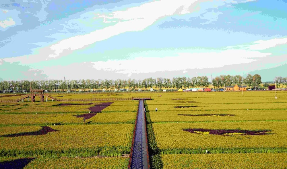 梨树县坚持规划引领打造国家级绿色稻米现代农业旅游观光展区