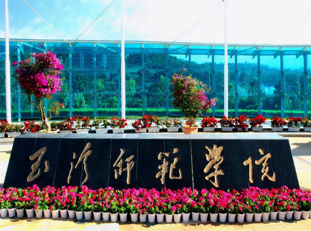 师范类高校师范专业与非师范专业有何区别选对就业