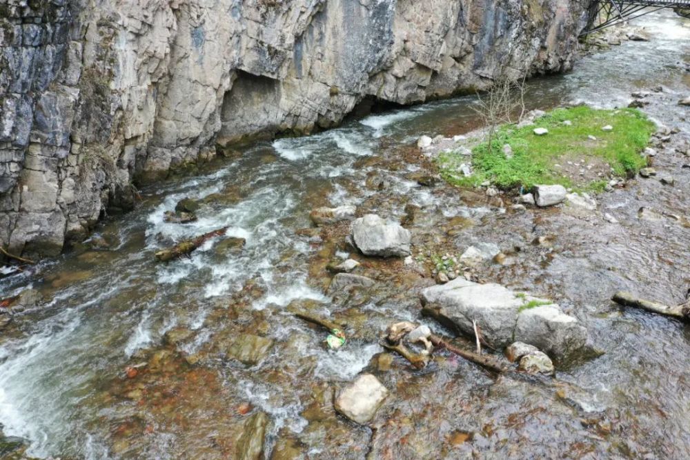 伊犁草原托乎拉苏的五媳妇沟