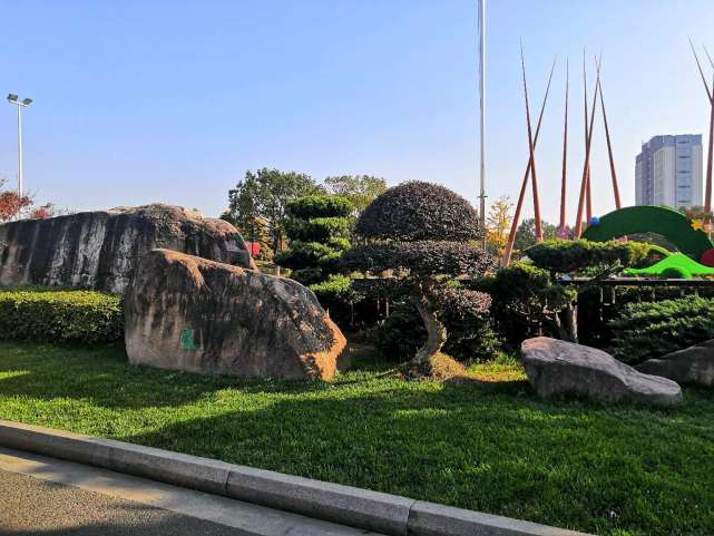 苏州的桐泾公园真美