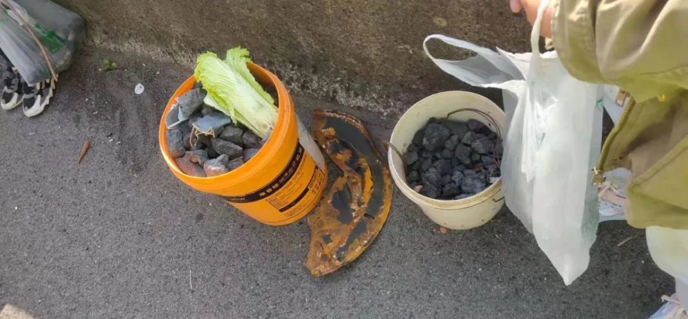 父亲带两名孩子高速上捡煤球这种风险不能冒知危险会避险