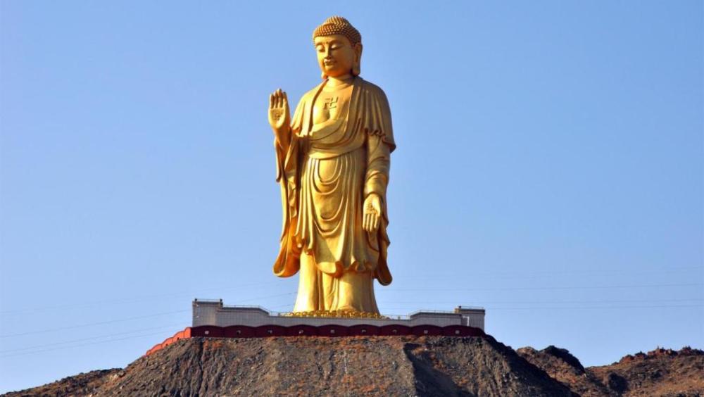 阳山大佛五,美食和特产肉苁蓉肉苁蓉性温,味甘咸,具有补肾壮阳,填精益